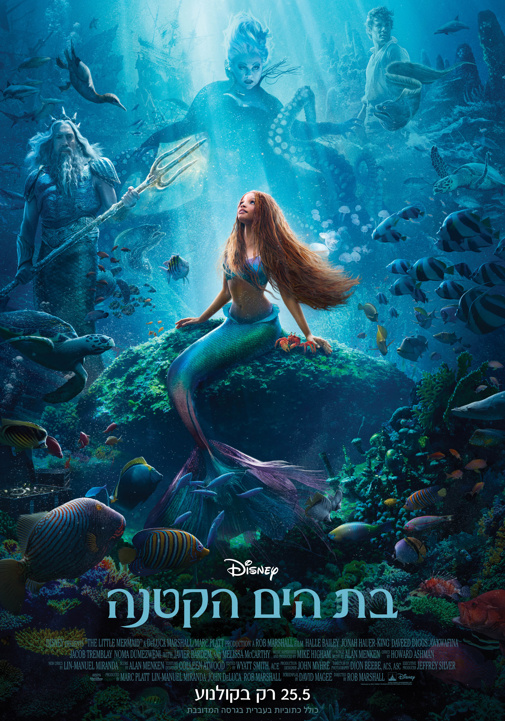 פוסטר